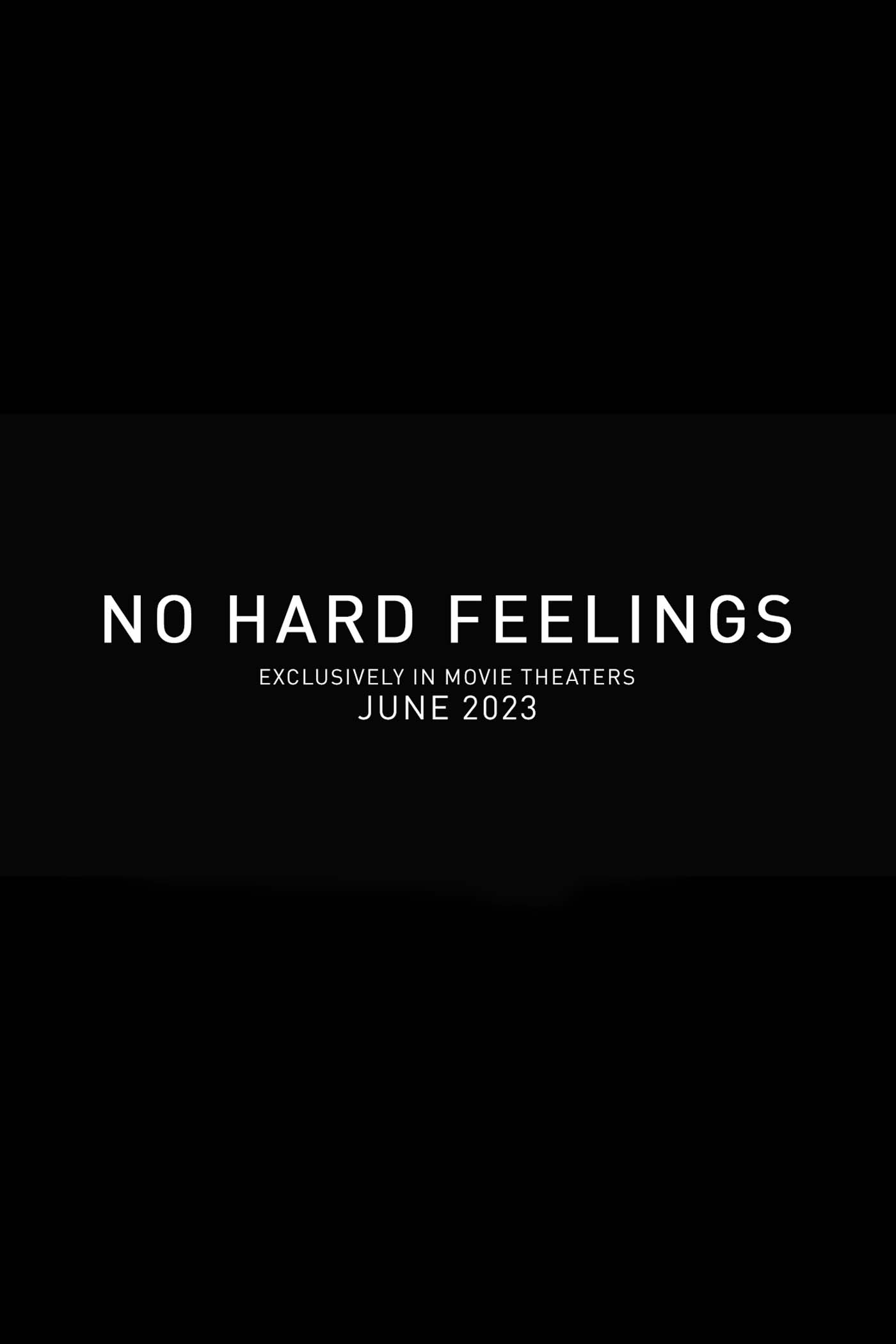 No Hard Feelings Poster